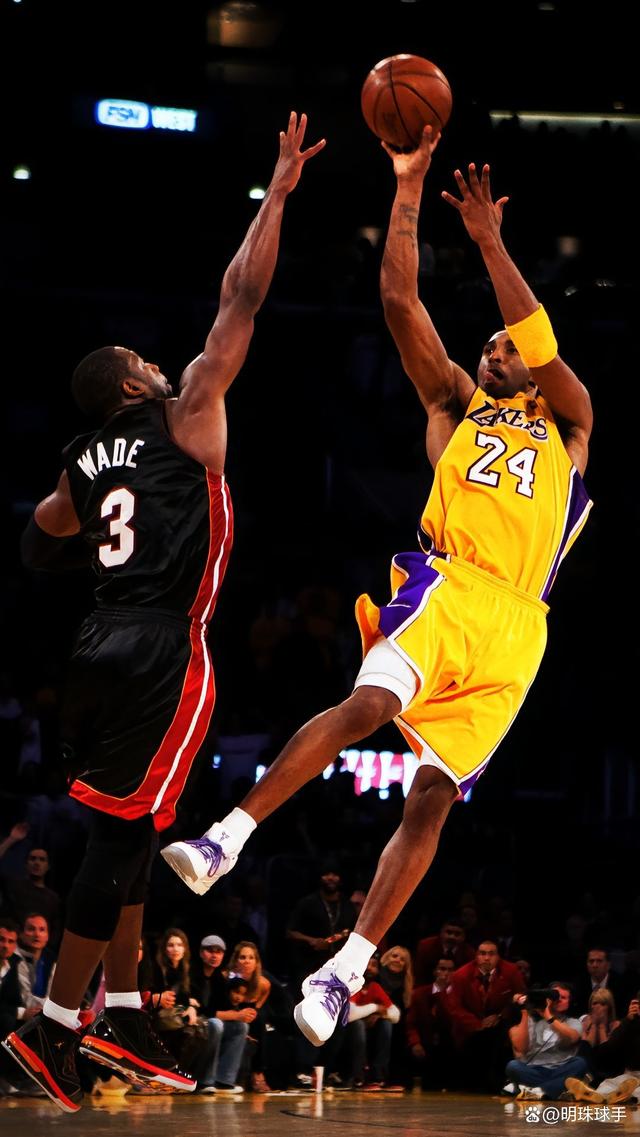 异的分析师 异的分析师