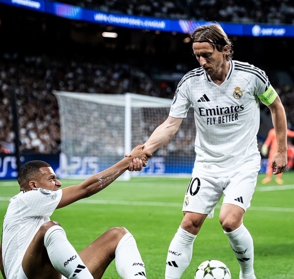 将最有机会 将最有机会